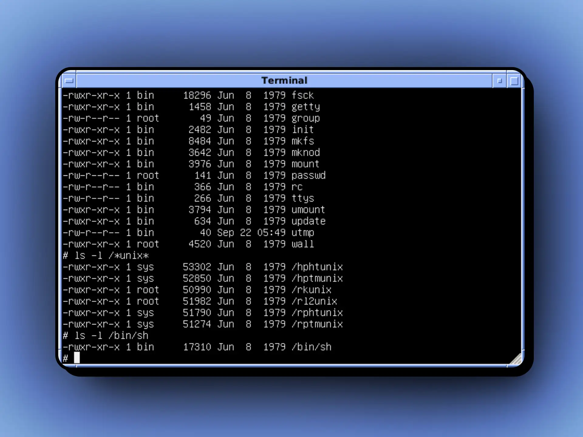 /my-shell.webp